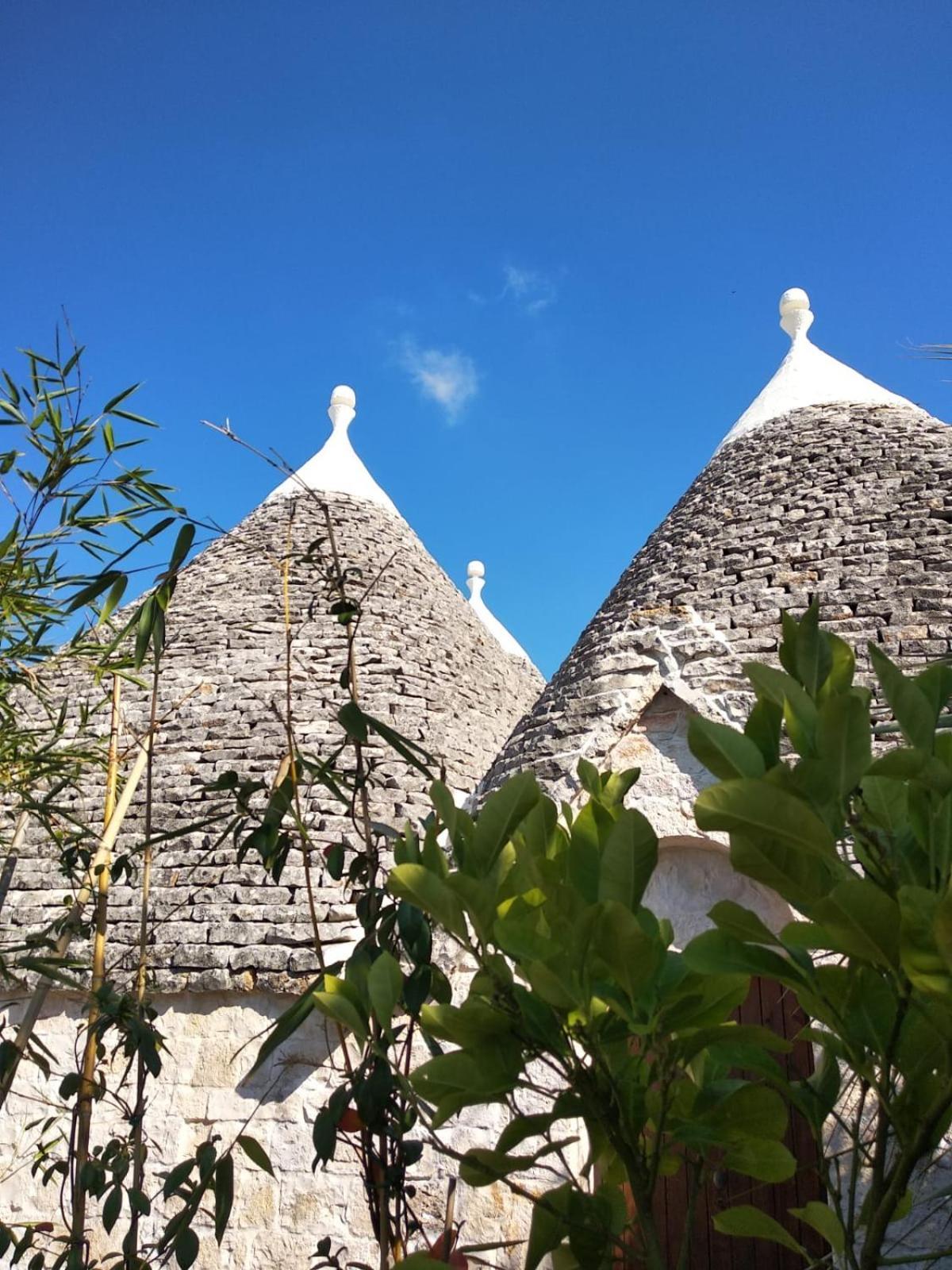 Trulli And Nature Antonelli Buitenkant foto