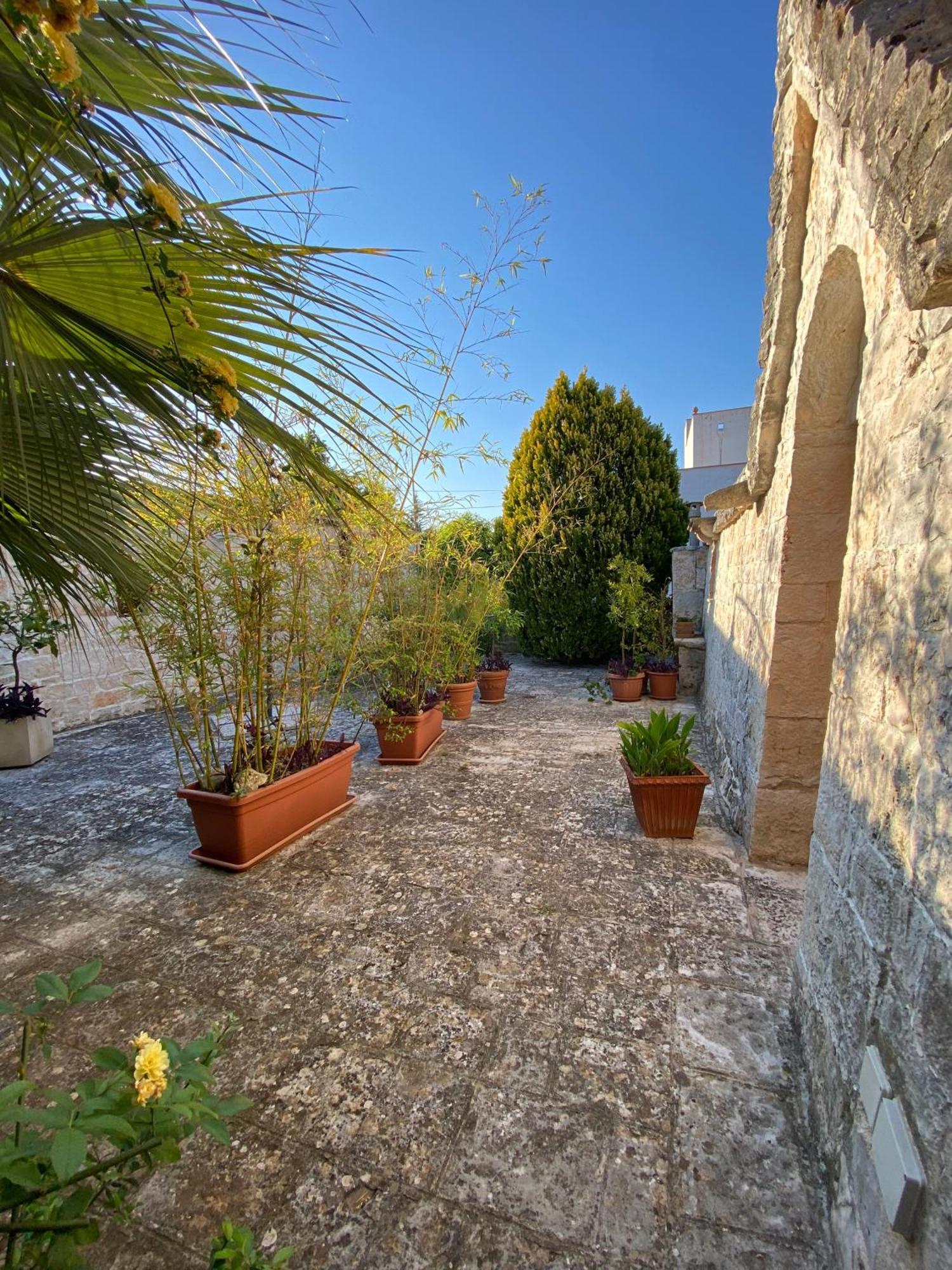 Trulli And Nature Antonelli Kamer foto