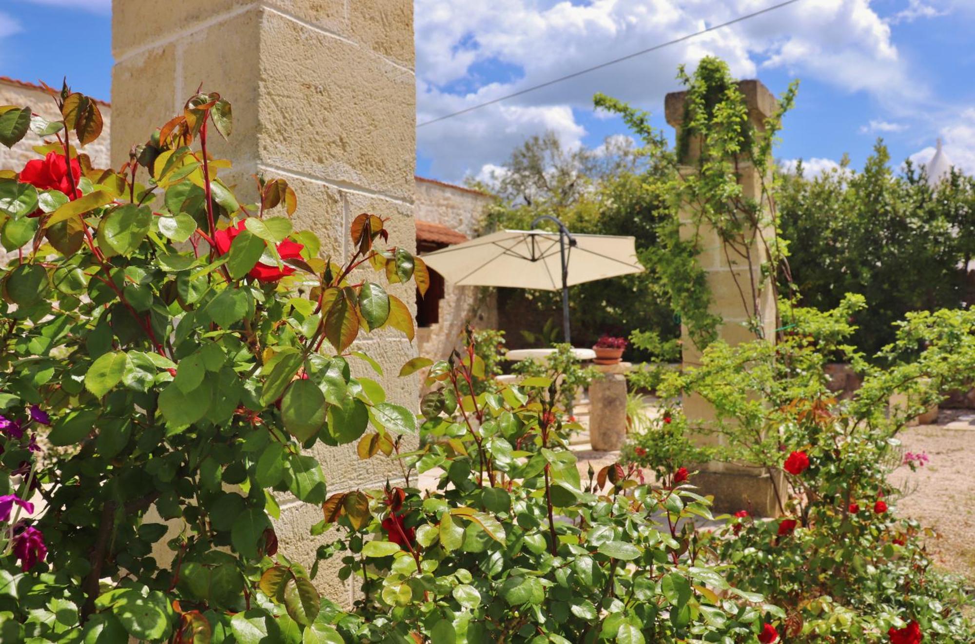 Trulli And Nature Antonelli Kamer foto
