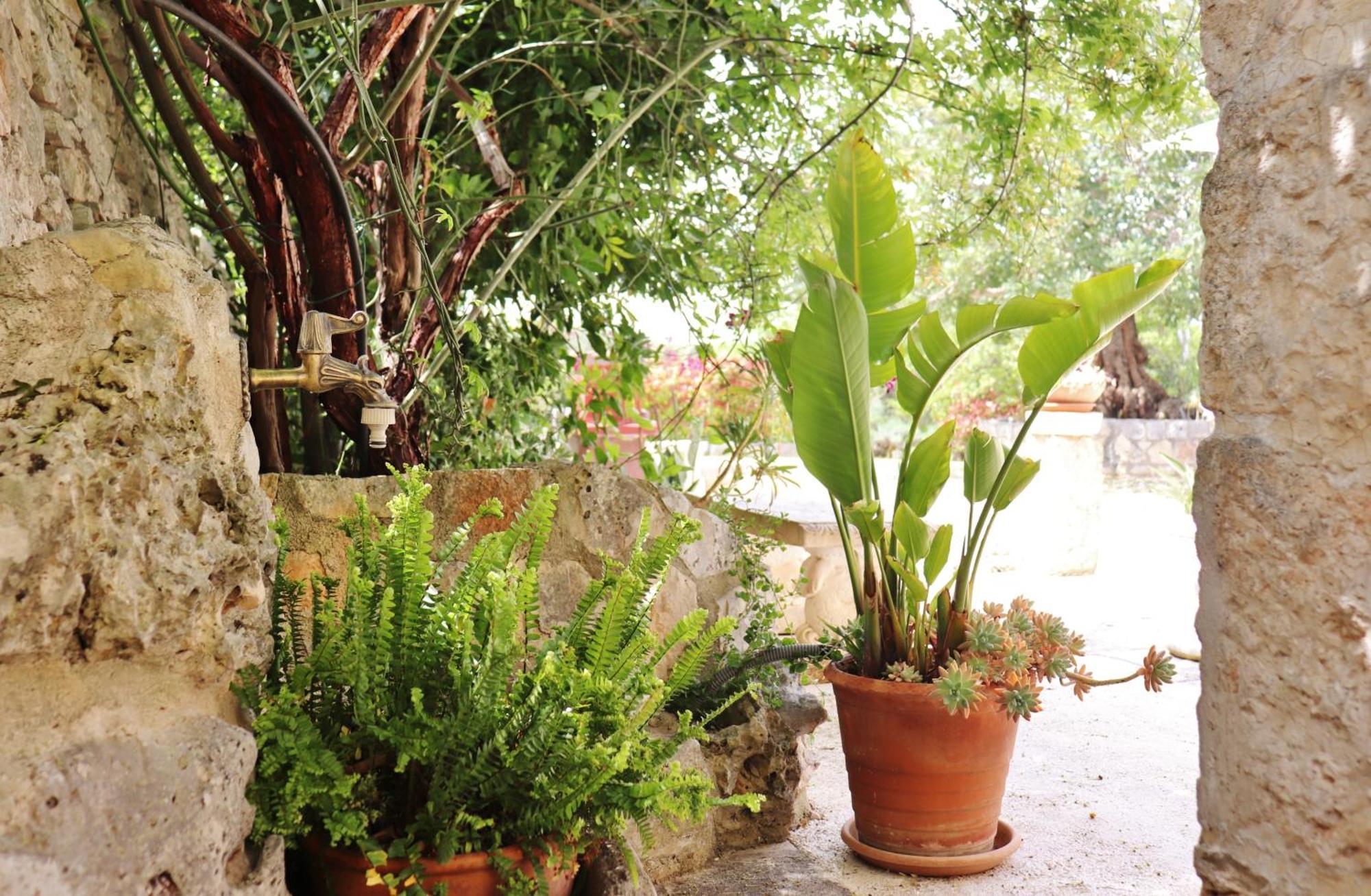Trulli And Nature Antonelli Kamer foto