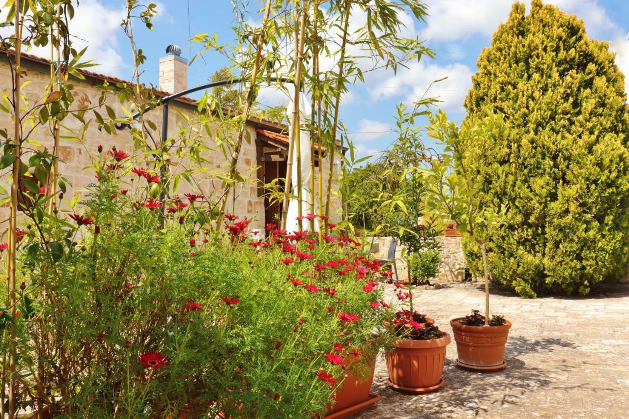 Trulli And Nature Antonelli Kamer foto