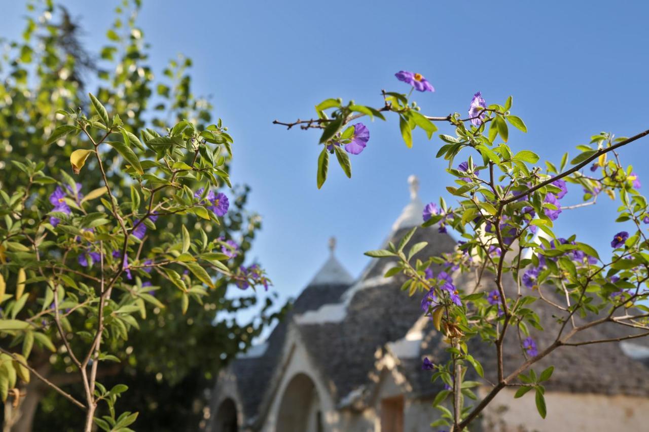Trulli And Nature Antonelli Buitenkant foto