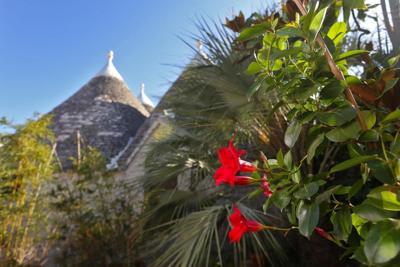 Trulli And Nature Antonelli Buitenkant foto